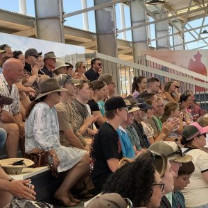 crowd 1